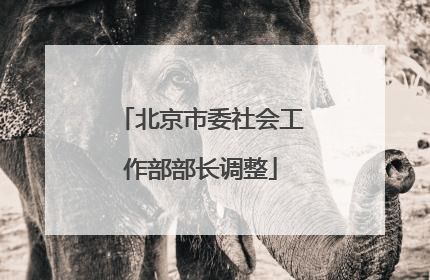 北京市委社会工作部部长调整