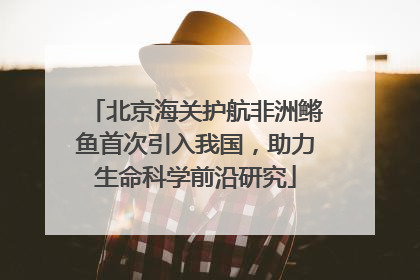 北京海关护航非洲鳉鱼首次引入我国，助力生命科学前沿研究