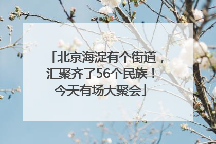 北京海淀有个街道，汇聚齐了56个民族！今天有场大聚会