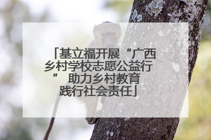 基立福开展“广西乡村学校志愿公益行” 助力乡村教育 践行社会责任