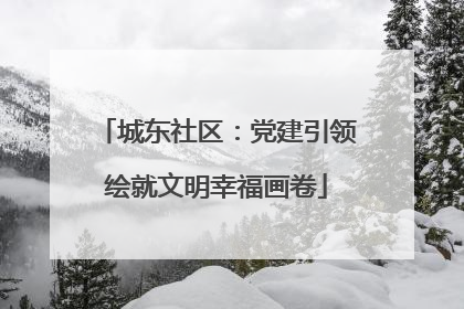 城东社区：党建引领绘就文明幸福画卷
