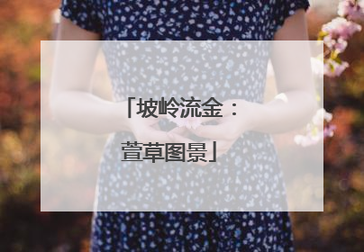 坡岭流金：萱草图景