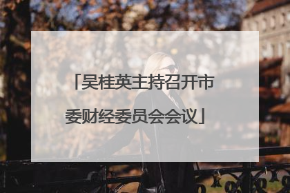 吴桂英主持召开市委财经委员会会议