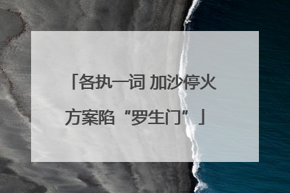 各执一词 加沙停火方案陷“罗生门”