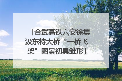 合武高铁六安徐集汲东特大桥“一桥飞架”图景初具雏形