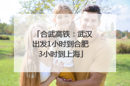 合武高铁：武汉出发1小时到合肥3小时到上海