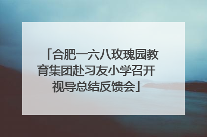 合肥一六八玫瑰园教育集团赴习友小学召开视导总结反馈会