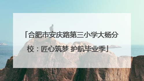 合肥市安庆路第三小学大杨分校：匠心筑梦 护航毕业季