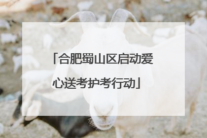 合肥蜀山区启动爱心送考护考行动