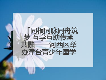 同根同脉同舟筑梦 互学互助传承共融——河西区举办津台青少年国学交流活动