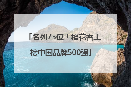 名列75位！稻花香上榜中国品牌500强