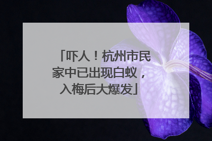 吓人！杭州市民家中已出现白蚁，入梅后大爆发