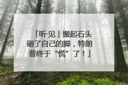 听·见｜搬起石头砸了自己的脚，特朗普终于“慌”了！