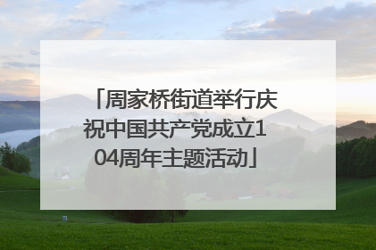 周家桥街道举行庆祝中国共产党成立104周年主题活动