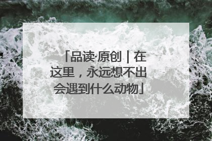 品读·原创｜在这里，永远想不出会遇到什么动物