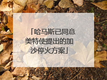 哈马斯已同意美特使提出的加沙停火方案