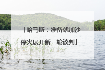 哈马斯：准备就加沙停火展开新一轮谈判