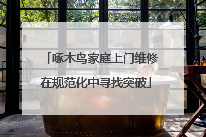 啄木鸟家庭上门维修在规范化中寻找突破