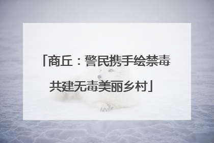 商丘：警民携手绘禁毒 共建无毒美丽乡村