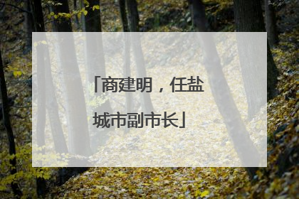 商建明，任盐城市副市长