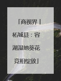 商视界丨柘城县：容湖湿地葵花竞相绽放