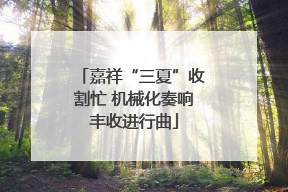 嘉祥“三夏”收割忙 机械化奏响丰收进行曲