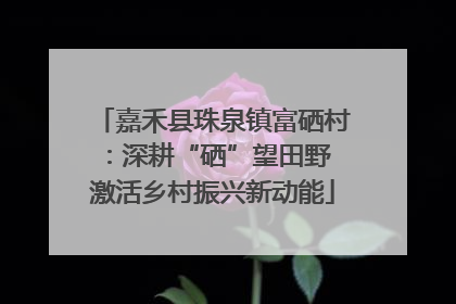 嘉禾县珠泉镇富硒村：深耕“硒”望田野 激活乡村振兴新动能