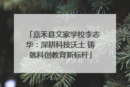 嘉禾县文家学校李志华：深耕科技沃土 铸就科创教育新标杆