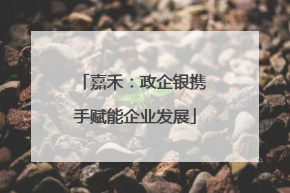嘉禾：政企银携手赋能企业发展