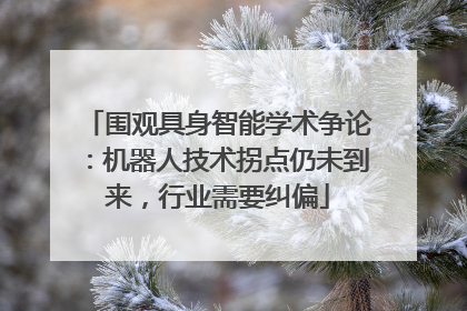 围观具身智能学术争论：机器人技术拐点仍未到来，行业需要纠偏
