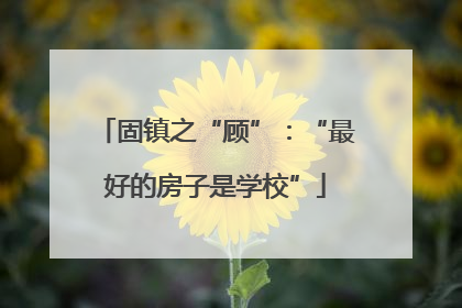 固镇之“顾”：“最好的房子是学校”