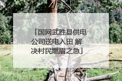 国网武胜县供电公司送电入田 解决村民燃眉之急