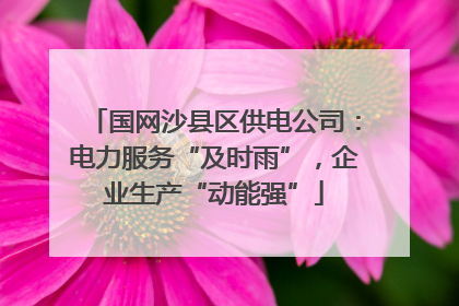 国网沙县区供电公司：电力服务“及时雨”，企业生产“动能强”