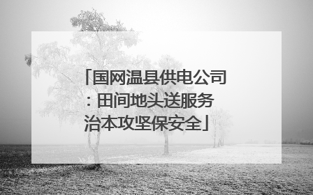 国网温县供电公司：田间地头送服务 治本攻坚保安全