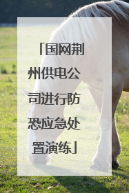 国网荆州供电公司进行防恐应急处置演练