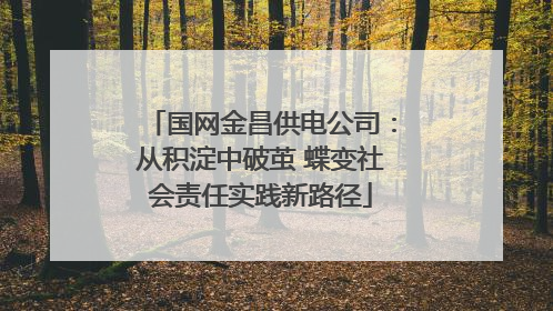 国网金昌供电公司：从积淀中破茧 蝶变社会责任实践新路径