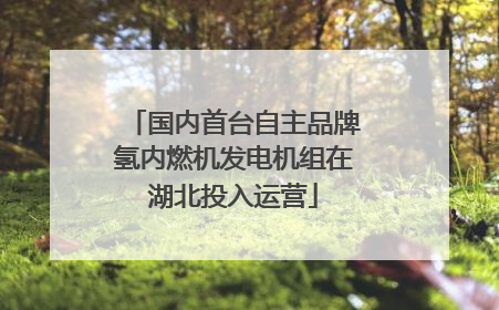 国内首台自主品牌氢内燃机发电机组在湖北投入运营