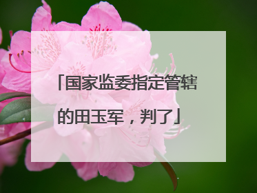 国家监委指定管辖的田玉军，判了