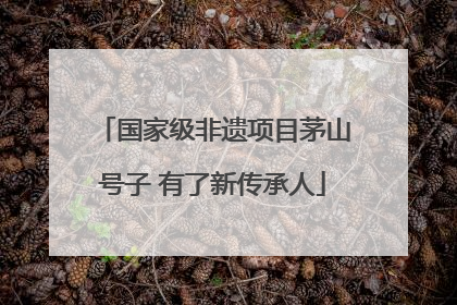 国家级非遗项目茅山号子 有了新传承人