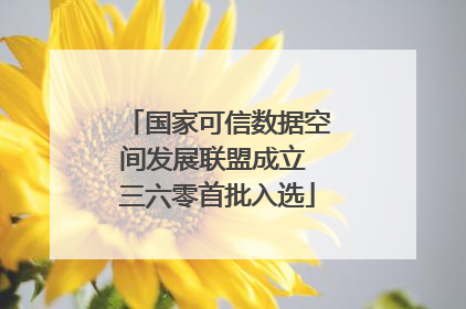 国家可信数据空间发展联盟成立 三六零首批入选