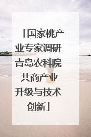 国家桃产业专家调研青岛农科院 共商产业升级与技术创新