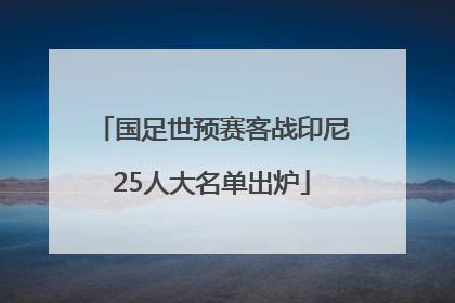 国足世预赛客战印尼25人大名单出炉