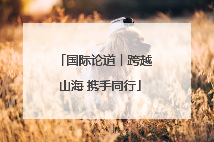 国际论道丨跨越山海 携手同行