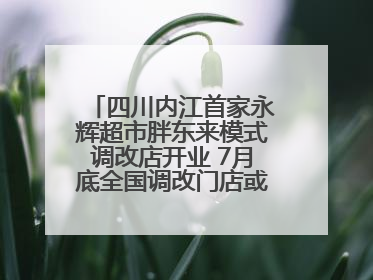 四川内江首家永辉超市胖东来模式调改店开业 7月底全国调改门店或将突破150家丨新经济观察
