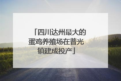 四川达州最大的蛋鸡养殖场在普光镇建成投产