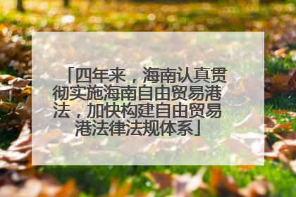 四年来，海南认真贯彻实施海南自由贸易港法，加快构建自由贸易港法律法规体系