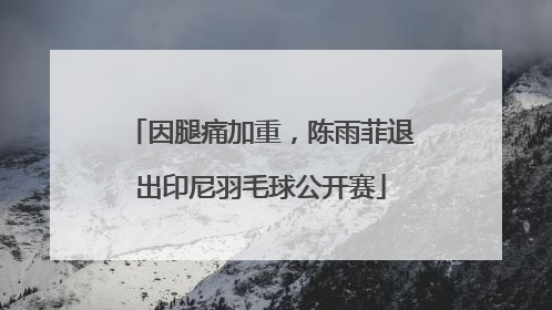 因腿痛加重，陈雨菲退出印尼羽毛球公开赛
