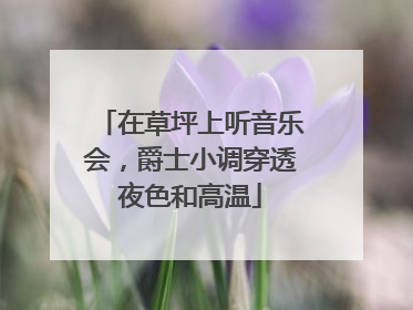 在草坪上听音乐会，爵士小调穿透夜色和高温