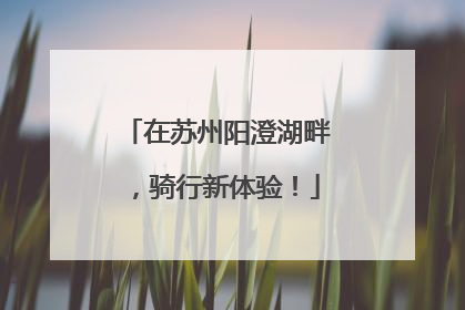 在苏州阳澄湖畔，骑行新体验！