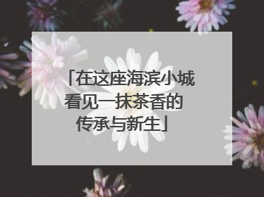 在这座海滨小城 看见一抹茶香的传承与新生